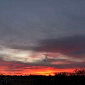 Meet your Posher, Tessa